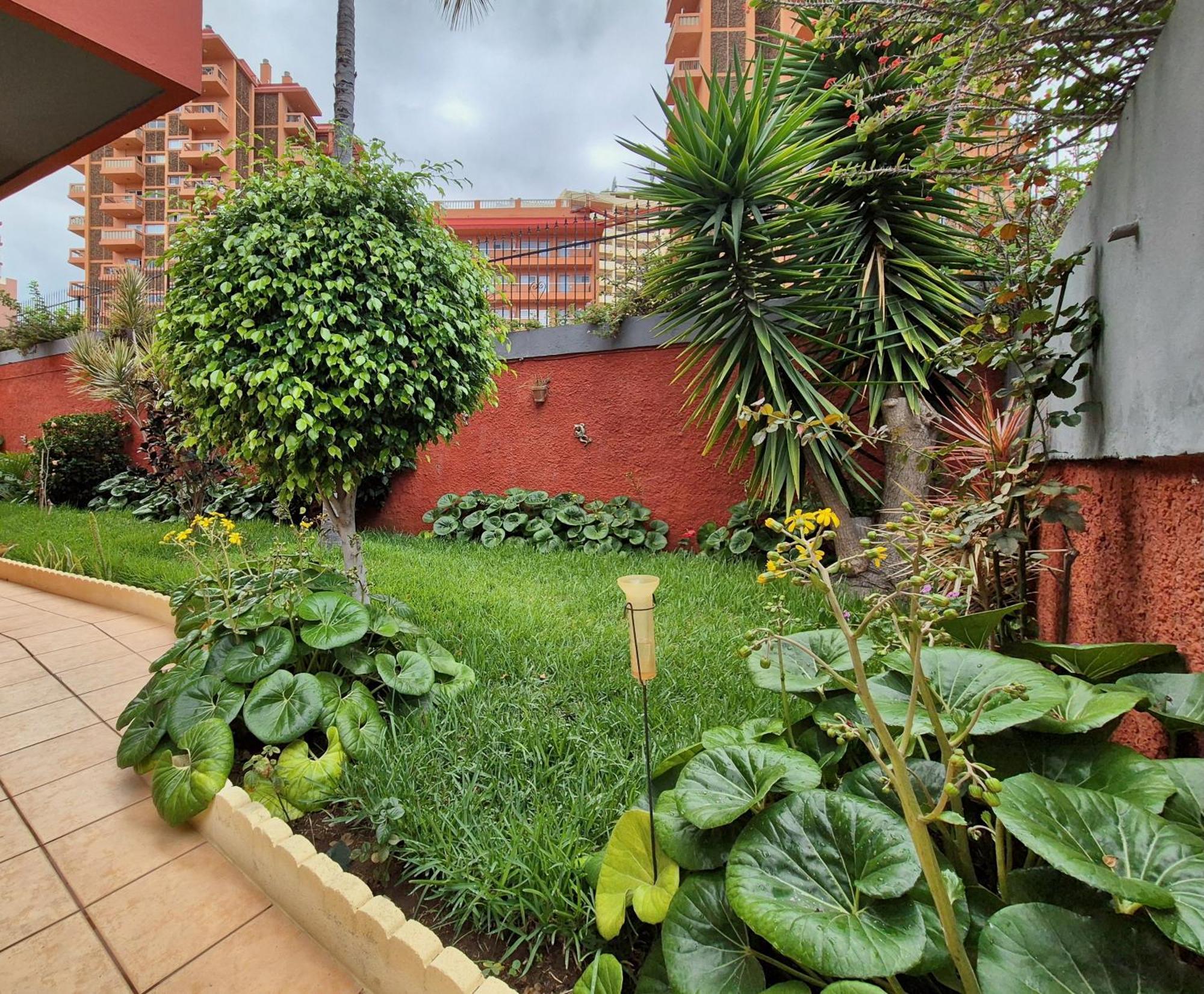 Canaima Apartments Puerto de la Cruz  Extérieur photo
